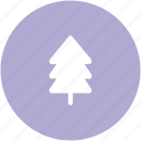 christmas tree, fir tree, forest, nature, pine, pine tree, tree