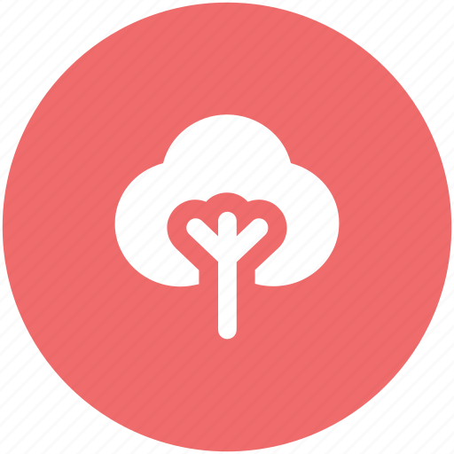 Deciduous tree, ecology, forest, generic tree, leafy tree, nature, tree icon - Download on Iconfinder