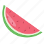 food, fruit, melon, summer, watermelon 