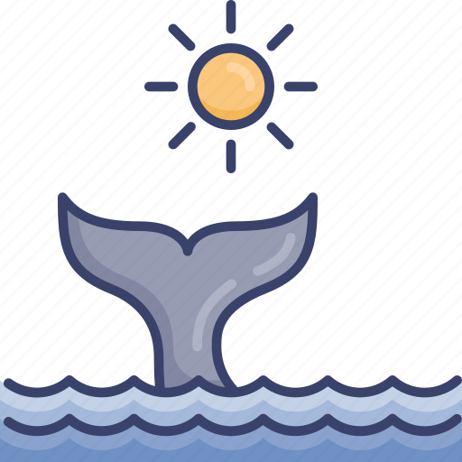 Ocean, sea, sun, sunny, tail, whale, wildlife icon - Download on Iconfinder