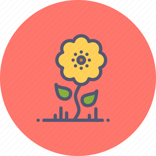 Bloom, blossom, flower, nature, spring, summer, sunflower icon - Download on Iconfinder