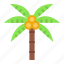 beach, coconut tree, holiday, islands, summer, vacation, weather 