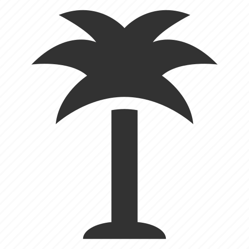 Coconut, palm, tree icon - Download on Iconfinder