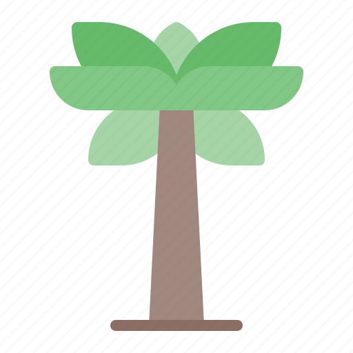 Summer, palm, tree, plant, nature, ecology, environment icon - Download on Iconfinder