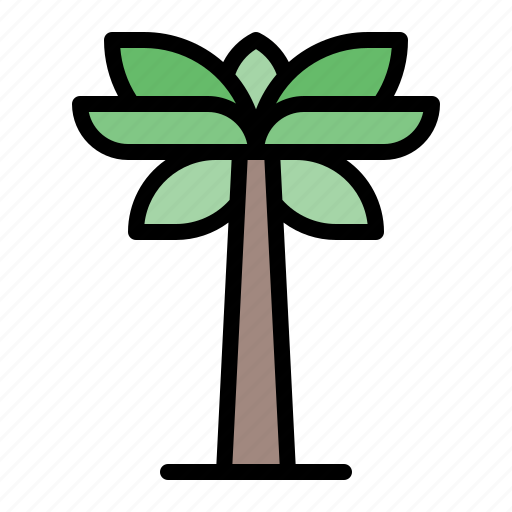 Summer, palm, tree, plant, nature, ecology icon - Download on Iconfinder