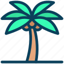 summer, island, beach, palm, tree