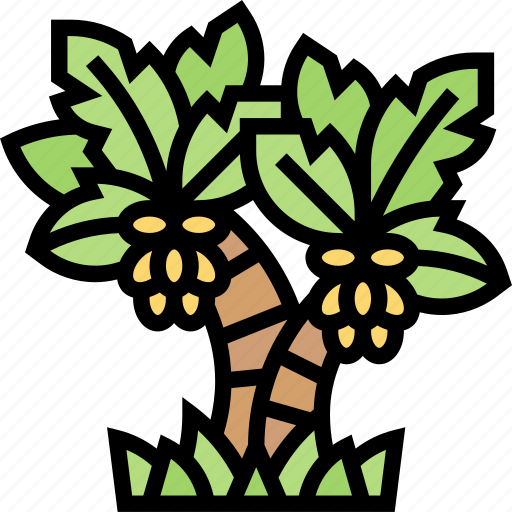 Palm, tree, tropical, plant, beach icon - Download on Iconfinder