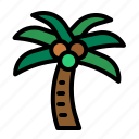 coconuttree, botanical, tropical, palmtree, plant