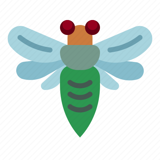 Cicada, animalkingdom, bugs, insect, animals icon - Download on Iconfinder