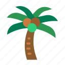 coconuttree, botanical, tropical, palmtree, plant
