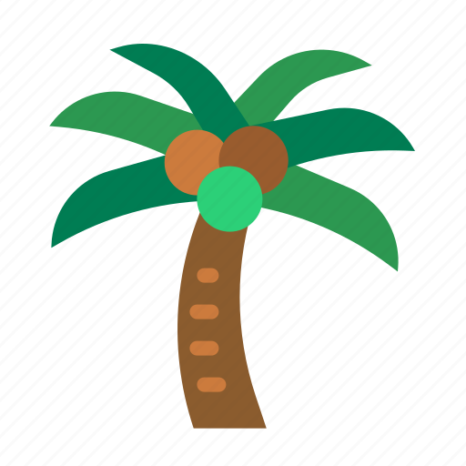 Coconuttree, botanical, tropical, palmtree, plant icon - Download on Iconfinder