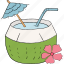 coconut, drinking, alcohol, cocktail, drinks, summer 