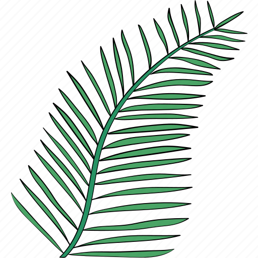 Leaf, plant, botanical, garden, leaves, summer icon - Download on Iconfinder
