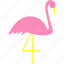 flamingo, bird, animal, zoo, animals 