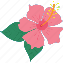 flower, hibiscus, hawaiian, summer, cultures