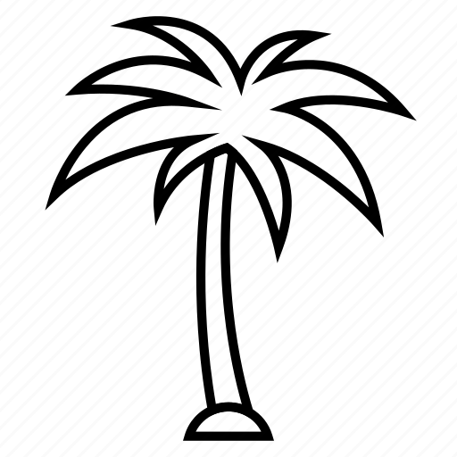 Palm, tree, vacation, coconut, beach, island, holiday icon - Download on Iconfinder