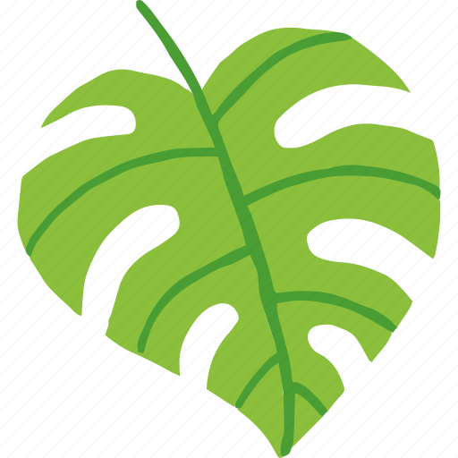 Monstera, leaf, isolated, summer, tropical icon - Download on Iconfinder