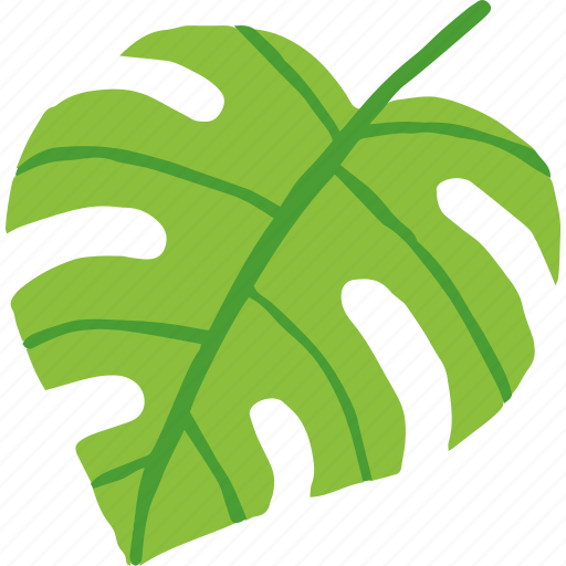 Monstera, leaf, isolated, tropical, summer icon - Download on Iconfinder