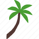 palm, tree, coconut, beach, summer