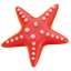 starfish, beach, sea, star, water 