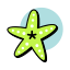starfish, sea creature, starfish animal, animal, ocean 