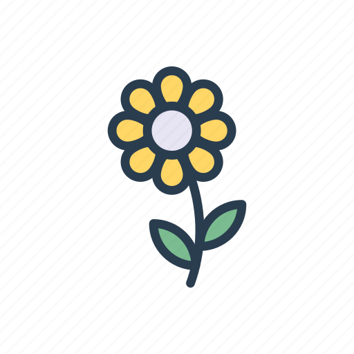 Bloom, camomile, flower, garden, nature icon - Download on Iconfinder