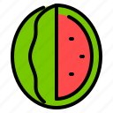 watermelon, fruit, melon, food, organic, sweet, slice, tropical, summer