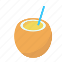 summer, coconut drink, coconut, beach, vacation, drink, straw, cocktail, palm
