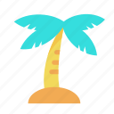 summer, palm tree, beach, island, coconut, coconut tree, nature, plant, tree