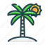 palm, tree, nature, plant, island 