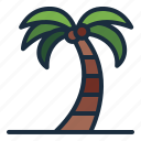 plant, summer, vacation, tropical, travel, fun, holiday, palm tree