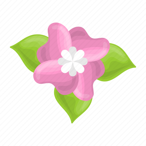 Flower, nature, plant, sea flower, rosa rugosa, beach rose icon - Download on Iconfinder