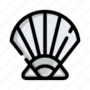shell, sea, ocean, vector, seashell, beach, scallop