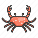 crab, crustaceans, seafood, sea creature, animal