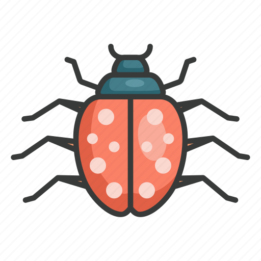Ladybugs, ladybug, bug, insect, beetle icon - Download on Iconfinder