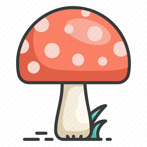 Mushroom, fungi, fungus, nature, ecology icon - Download on Iconfinder