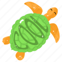 tortoise, turtle, reptile, sea turtle, animal