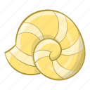 mollusk, ocean, sea, shell