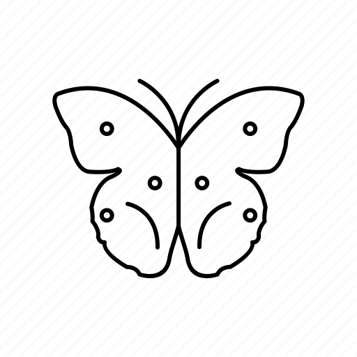 Butterfly, insect, nature icon - Download on Iconfinder