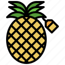 pineapple, fruit, discount, price, tag, healthy, food