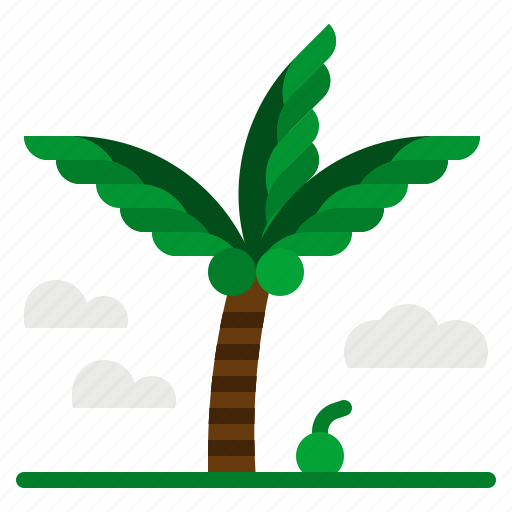 Beach, coconut, palm, summer, tree icon - Download on Iconfinder