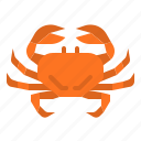 animal, crab, marine, ocean, sea