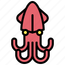 animal, octopus, squid, summer