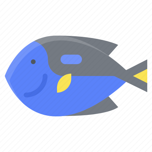Animal, blue tang fish, fish, paracanthurus, summer icon - Download on Iconfinder