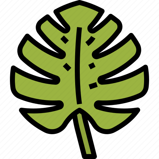 Tropical, leave, palm, leaf, nature icon - Download on Iconfinder