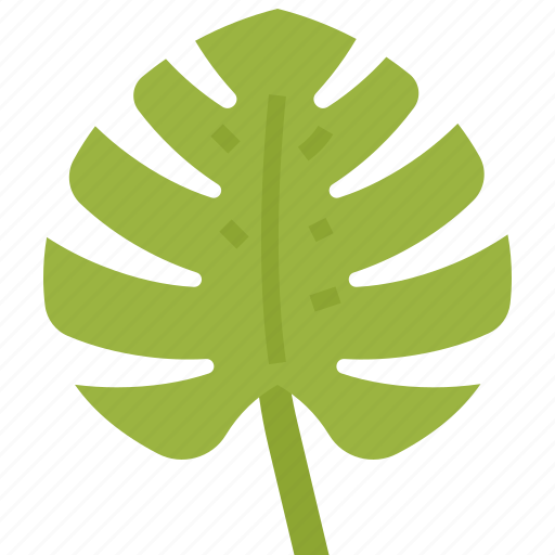 Tropical, leave, palm, leaf, nature icon - Download on Iconfinder