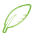 quill, basic, green