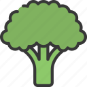 broccoli, vegetable, grocery, store, food, healthy