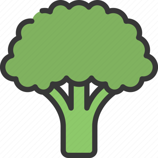 Broccoli, vegetable, grocery, store, food, healthy icon - Download on Iconfinder