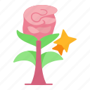flower, rose, bucket, fragrance, romance, surprise